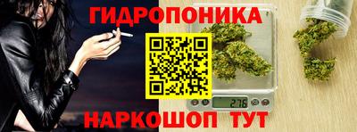 бошки Новозыбков