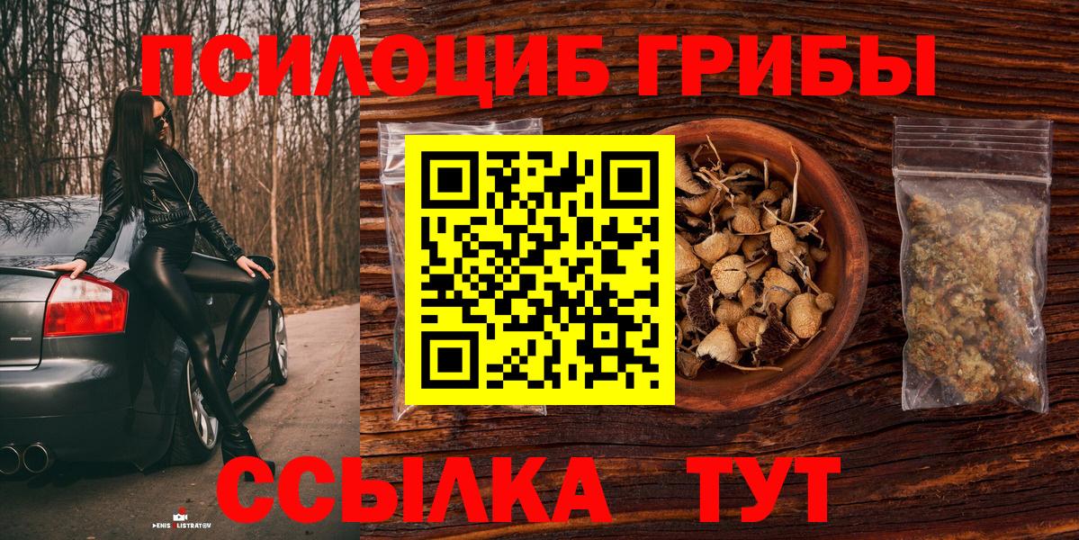 Псилоцибиновые грибы Psilocybine cubensis  Вход с VPN  Черняховск 